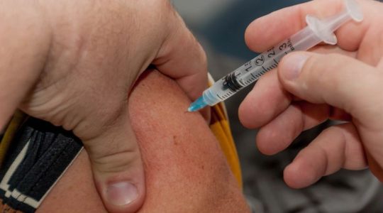 Un nuevo prototipo de vacuna contra la gripe acerca a la solución universal contra todas las cepas del virus