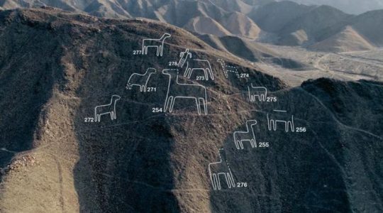 Científicos japoneses descubren 168 nuevas figuras en Nazca Científicos japoneses descubren 168 nuevas figuras en Nazca