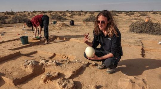 Descubren en Israel huevos de avestruz de más de 4.000 años