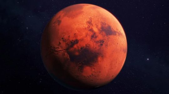 ¿Cómo es posible? Astrónomos de la NASA acaban de descubrir un «oso» en Marte