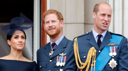 El Príncipe Harry y el Príncipe William se cayeron a golpes por culpa de Meghan Markle