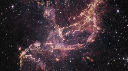El James Webb de la NASA nos deja boquiabiertos con estas nubes cósmicas donde nacen estrellas y planetas