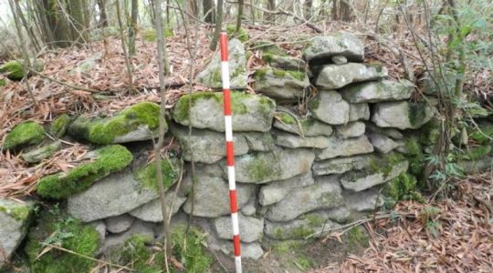 Descubren majestuoso castillo medieval en las profundidades de un bosque español