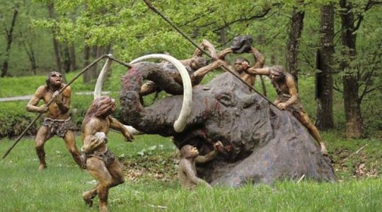 Los neandertales eran capaces de cazar mastodónticos elefantes, señala estudio